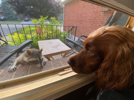 Entry image for Fern Gully. Clicking this image will show a larger photo