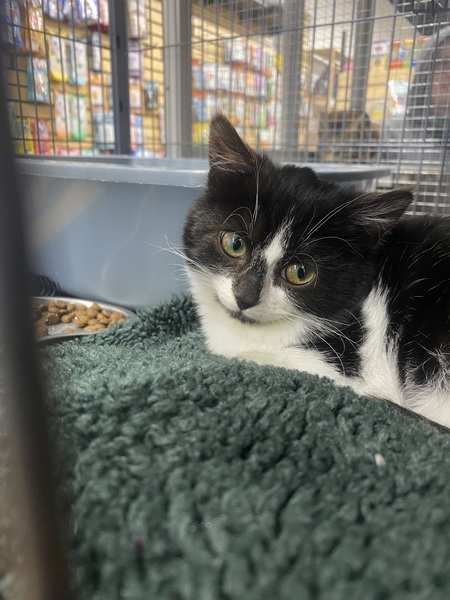 Entry image for Bubbles. Clicking this image will show a larger photo