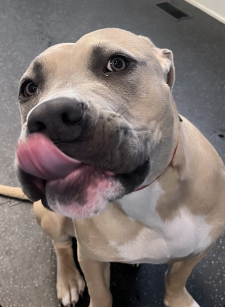 Entry image for Donna. Clicking this image will show a larger photo