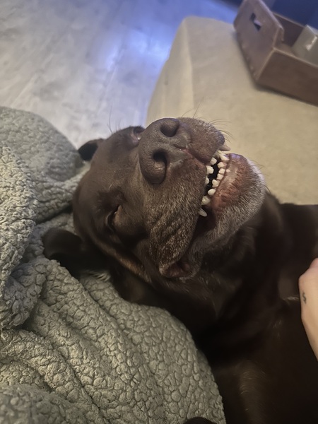 Entry image for Doug. Clicking this image will show a larger photo