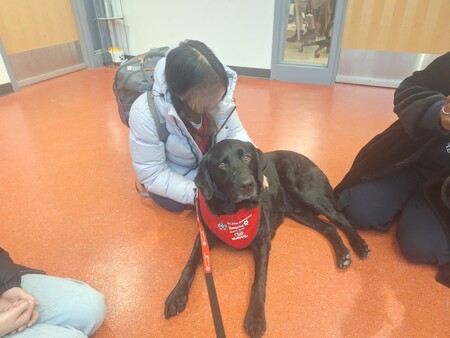 Entry image for Pilot. Clicking this image will show a larger photo