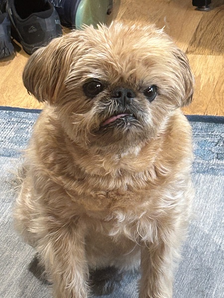 Toby