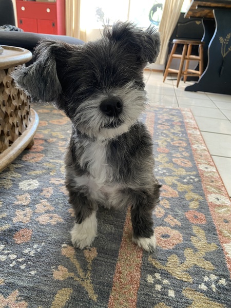 Bernie 