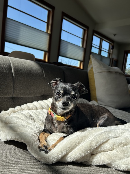 Rosie