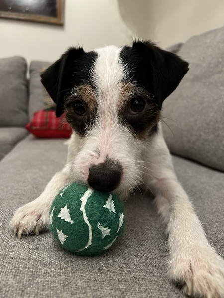 Otis