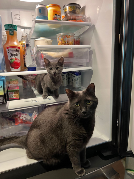 Oona & Yzma