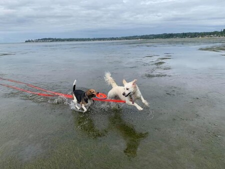 Tippy & Shelby Rae