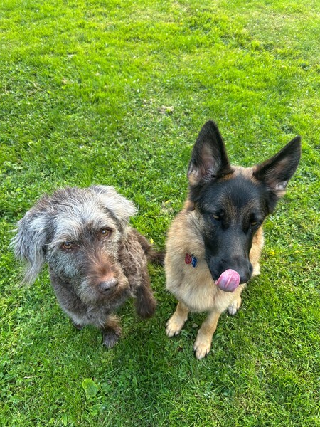 Rose and Lola