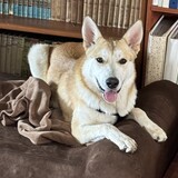 Entry image for Yuki
