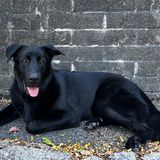 Entry image for Walter