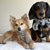 Entry image for FINN & KAYA