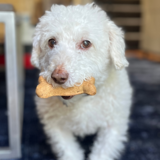 Entry image for Gussy
