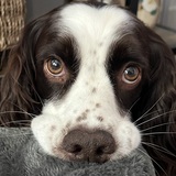 Entry image for Misha 