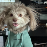 Entry image for Roxy