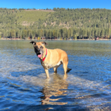 Entry image for Riley