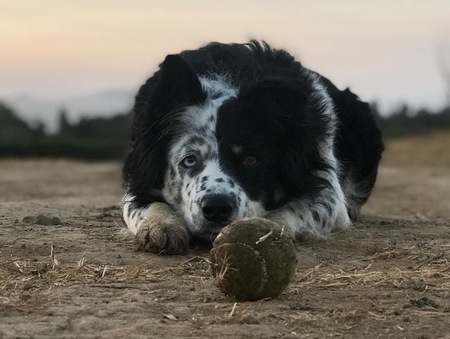 Maddie