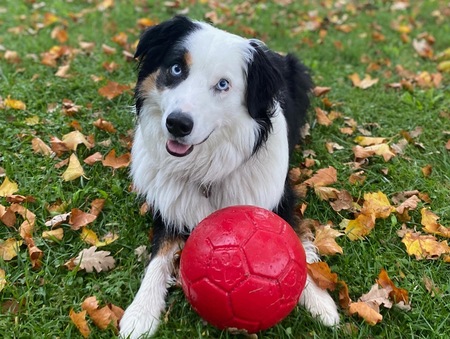 Entry image for Tahoe. Clicking this image will show a larger photo