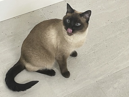 Rosy