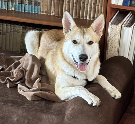 Entry image for Yuki. Clicking this image will show a larger photo