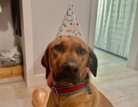 Entry image for Hank. Clicking this image will show a larger photo