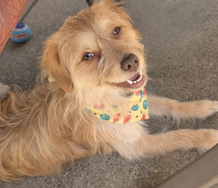 Entry image for Maggy May Morales. Clicking this image will show a larger photo
