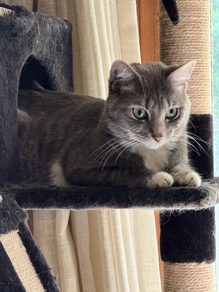Smokey