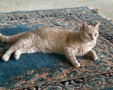 Maggie