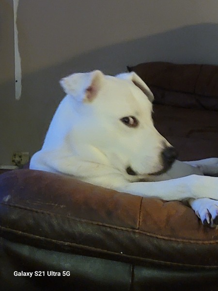 Roscoe P Coltrane