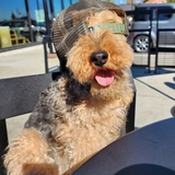 Entry image for Maggie