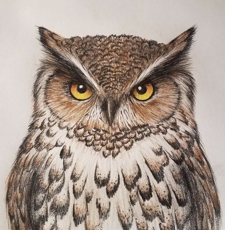 Hoot Hoot iPad Chrome