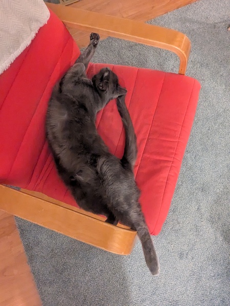 Luna