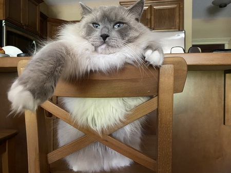 Tom