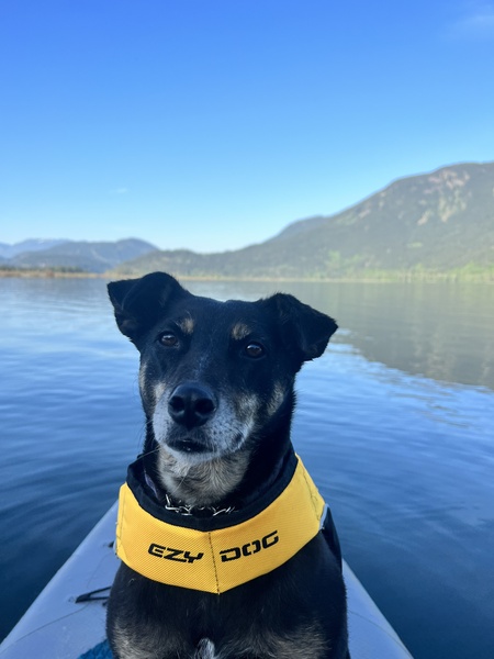 Ella