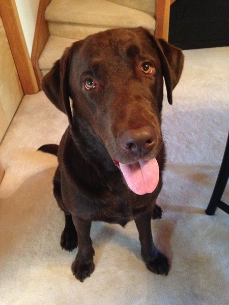 Kona