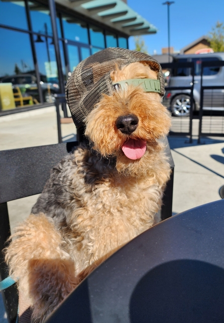 Entry image for Maggie. Clicking this image will show a larger photo