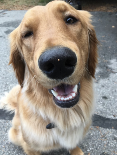 Kaya