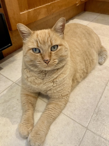 Peaches