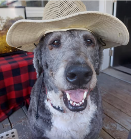 Gus