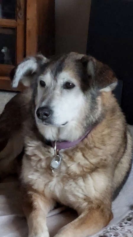 Skeena