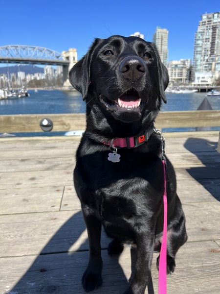 Penelope