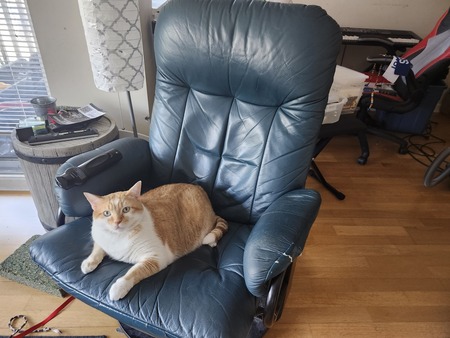 Maximus