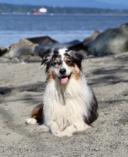 Zoe