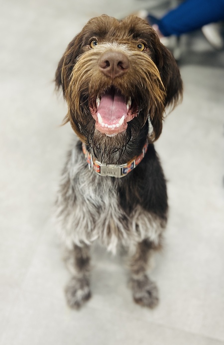 Tuck