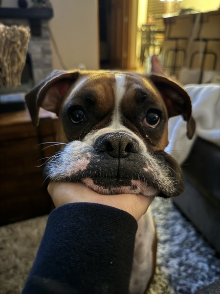 Lilo