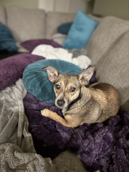 Tinker