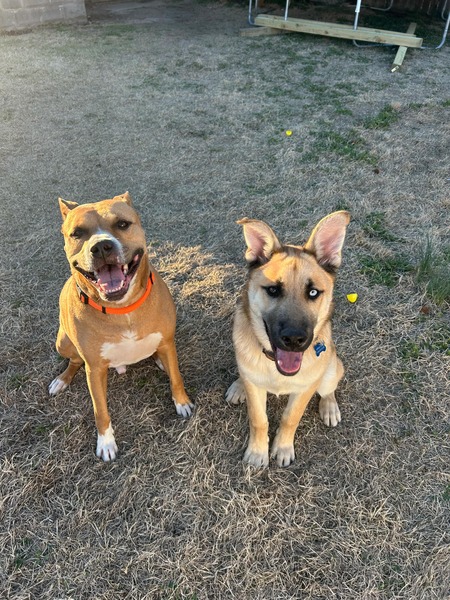 Blue and Atlas