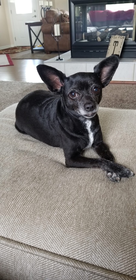 Zoe