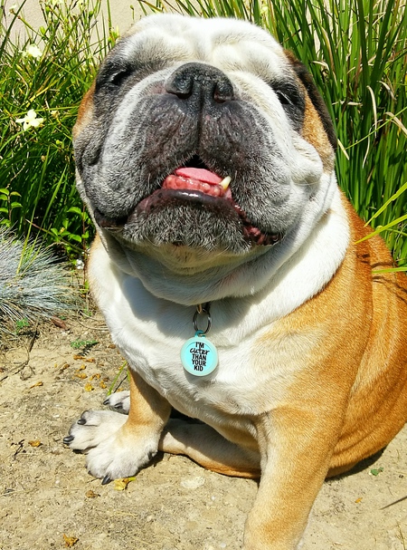 Yes, it's true. I am cuter than your kid.....Axel