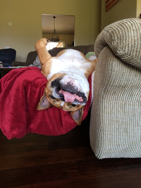 Benny