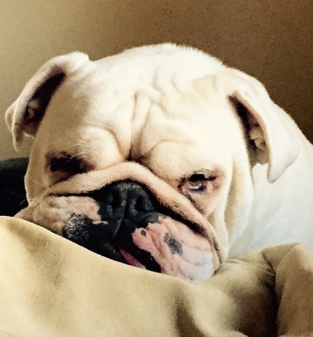 Walter
